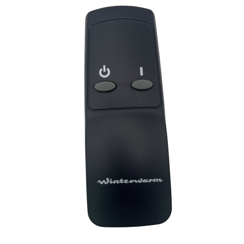 Remote Control (2 Button & Holster)